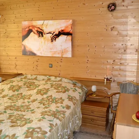 Haus Moser アパート *